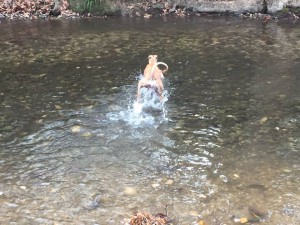 ALMA QUI ESSAYE DE MARCHER SUR L EAU