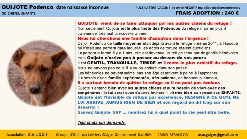 Diapositive2 (64)