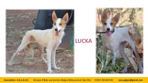 Lucka