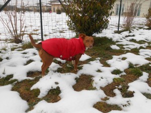 princesse Celia et son manteau rouge