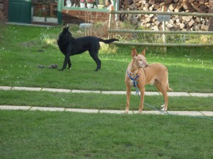 troy et sa nouvelle copine