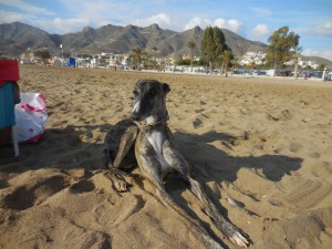 AÏTANA DANS LE SABLE