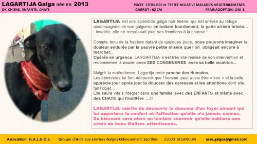 Diapositive2 (34)