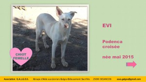 Evi1