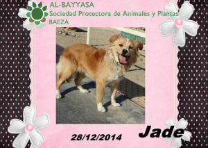 Jade1