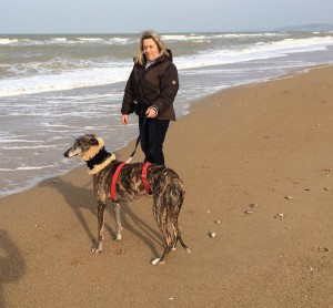 chester en ballade à la plage