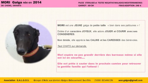 Diapositive2 (46)