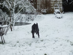 NINO DANS LA NEIGE03