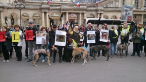 les loulous ont mis leur petite laine pour braver le froid !