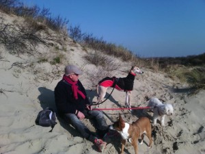estella et ses copains à bray dunes