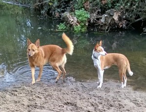 mimi ex grosella et son copain fausto