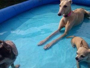 joanna et ses copines qui pataugent dans l'eau03