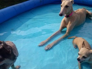 joanna et ses copines qui pataugent dans l'eau03