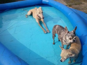 joanna qui s'endort dans l'eau trop fort !