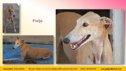 freija03