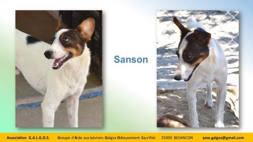 sanson03