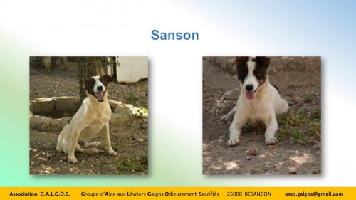 sanson04