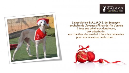 galgos-fiche-joyeuses-fetes-jpg