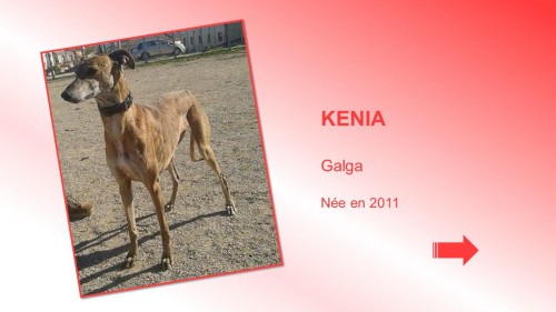 kenia01