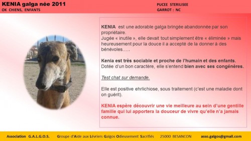 kenia02