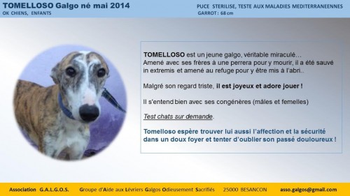 tomelloso02
