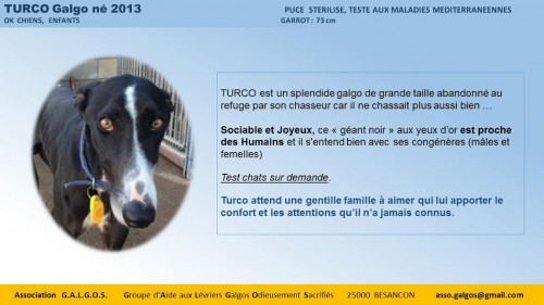 turco02