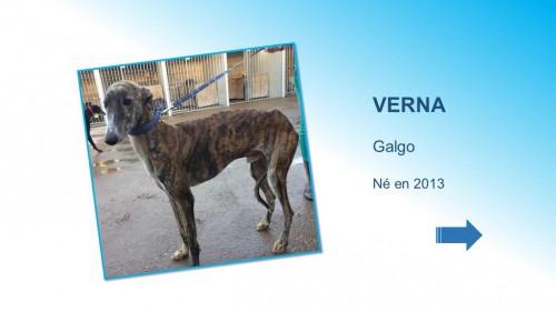 verna01