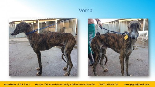 verna03
