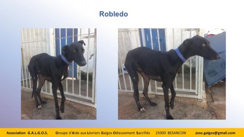 robledo03