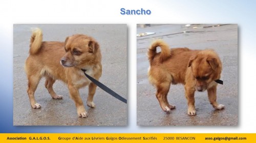 sancho03