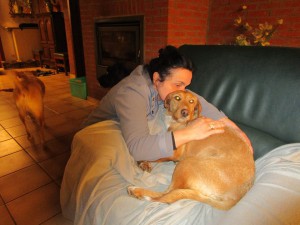 suca qui nage dans le bonheur