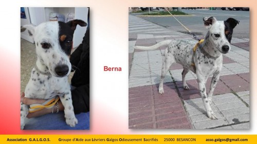 BERNA04