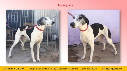 ANTEQUERA04