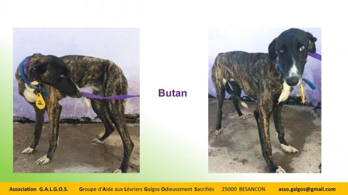 BUTAN03