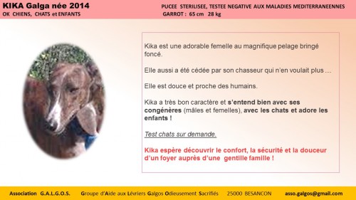 Diapositive2 (44)