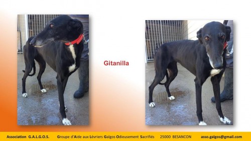 gitanilla03