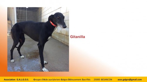 gitanilla04