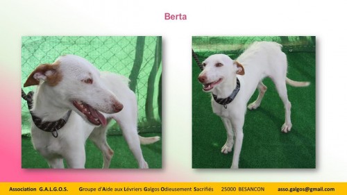 berta03