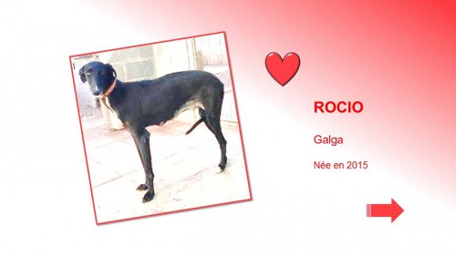 ROCIO01