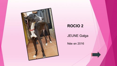 ROCIO2 01