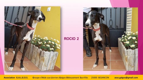 ROCIO2 03