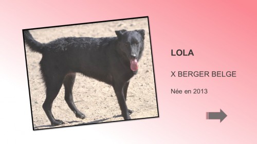 LOLA01