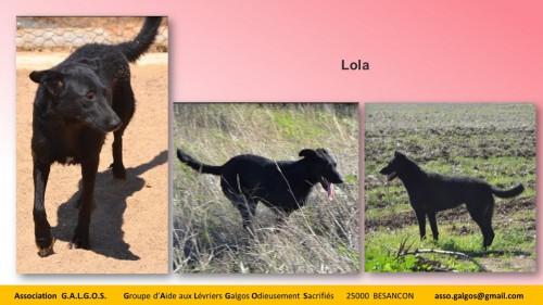 LOLA03