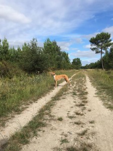 mengi qui profite du beau temps.